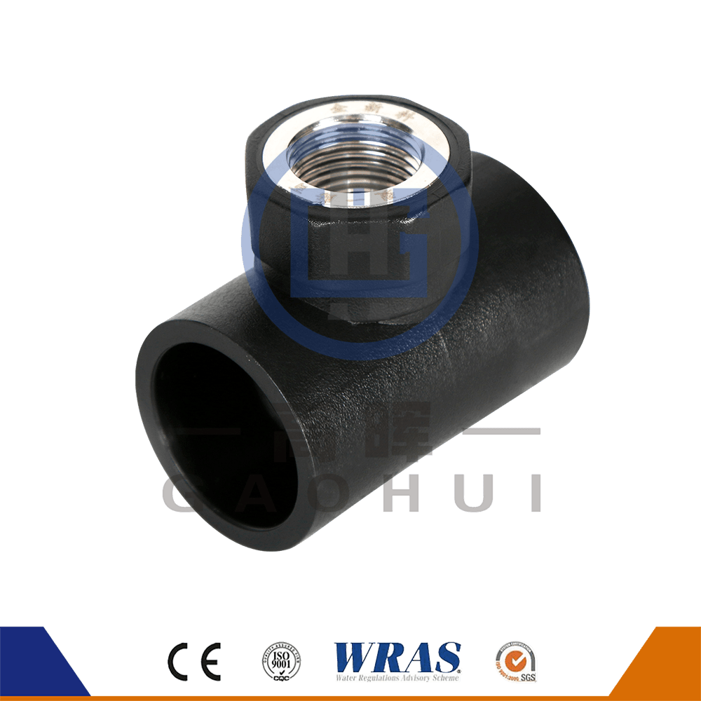 THE THED THE HDPE หญิง